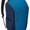 Sac à Dos De Tennis Yonex Team Backpack S Sky Blue 1 Sac à Dos De Tennis Yonex Team Backpack S Sky Blue -Magasin De Sport De Tennis 821985820f320bag42312sex