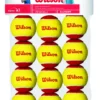 Balles De Tennis Wilson Starter Red Trainingsball Yellow Red (12 Balles)