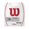 Cordage De Tennis Wilson NXT Power 17 Natural 1,26mm/12m -Magasin De Sport De Tennis WRZ941700 NXT Power 17 Pkg