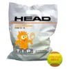 Balles De Tennis HEAD TIP Orange (72 Pièces) 2 Balles De Tennis HEAD TIP Orange (72 Pièces) -Magasin De Sport De Tennis head tip orange 1